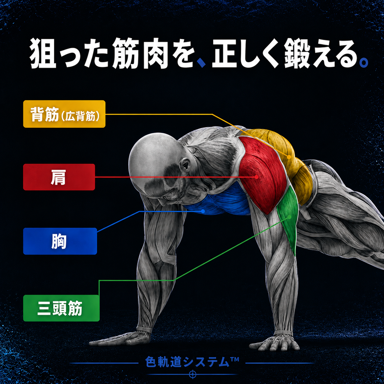 KazeFit 全身トレーニングボード